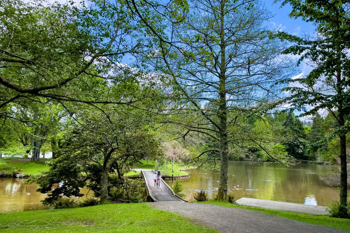 Pessoas caminhando em uma trilha cimentada no McLaren Falls Park, cercada por árvores e um lago tranquilo.