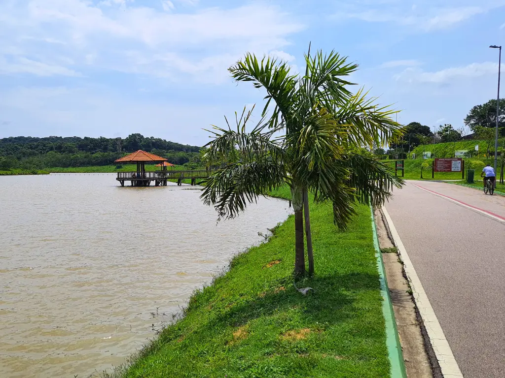 Vista de um lago no Parque do Mirim em Indaiatuba com uma palmeira em primeiro plano e um quiosque flutuante ao fundo, cercado por uma área verde e uma pista de caminhada.