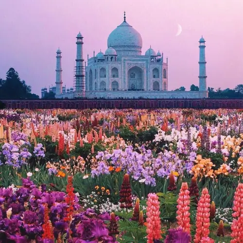 jardins que cercam o Taj Mahal