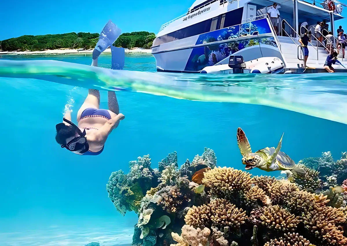 Uma pessoa mergulha com snorkel próximo a um recife de coral colorido enquanto uma tartaruga marinha nada por perto. Ao fundo, um barco de passeio ancorado com pessoas observando.