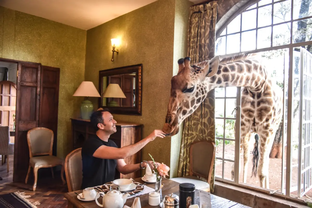 Giraffe Manor Quenia